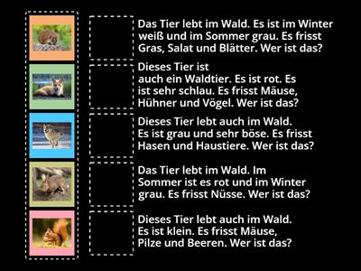 Rate mal! Wer ist das ? (Waldtiete)