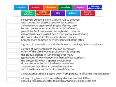 Year 6 Evolution & Inheritance Vocabulary