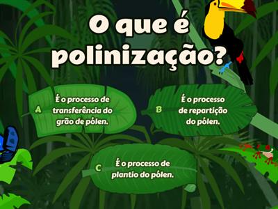 QUIZ - CIÊNCIAS  2º Ano CSA