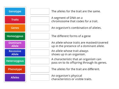 Genetics Vocabulary