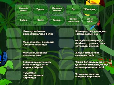 2 сынып Жаратылыстану