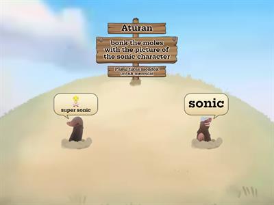 SONIC QUIZ