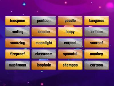 Advanced Long /oo/: oo Mastery Flip