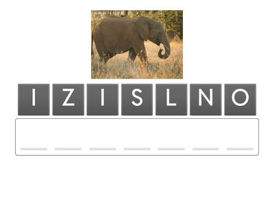 VALODA - SAPROT IZLASĪTO