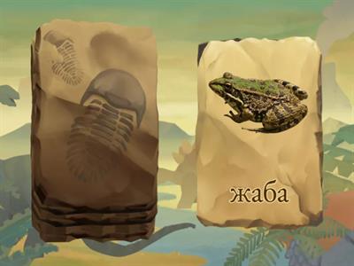  Звук Ж начало слова