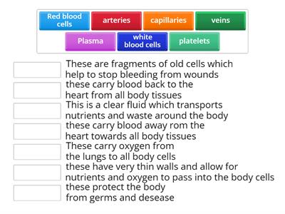 Nutrition II. Circulatory system