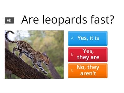 To be - short answers