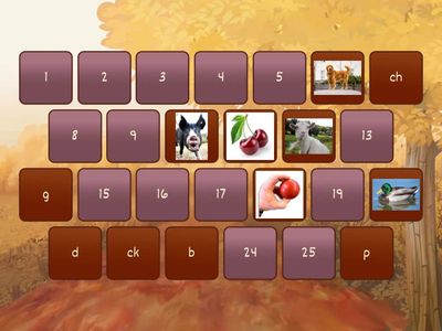 Letter Sound Matching