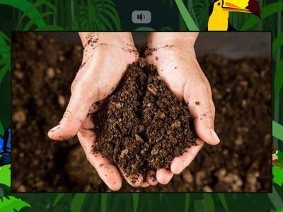 Grade 6 Phonics  oi   / oy