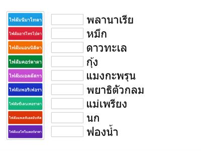 จับคู่ไฟลัม