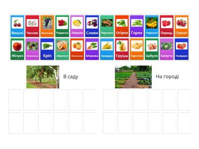 В саду чи на городі?