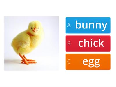 Easter vocabulary