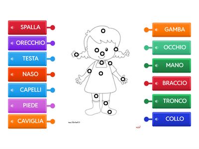 Schema corporeo - Rossella Chirico