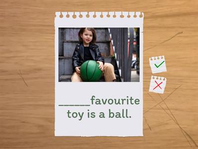 His / Her favourite toy is ...