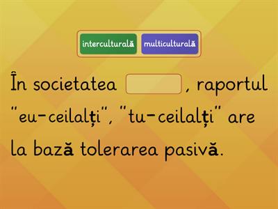 3. Recapitulare - Societate multiculturală sau societate interculturală