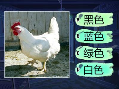 一年级华文 识字 《心爱的东西》