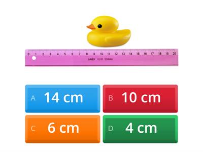 Senttimetri cm - valitse esineelle oikea pituus