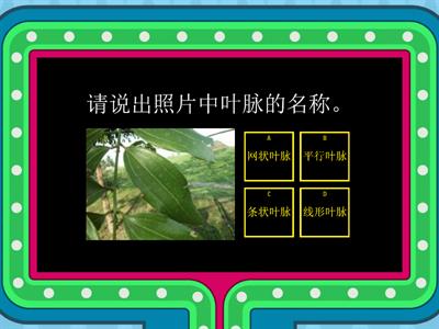 一年级 科学 植物（四）