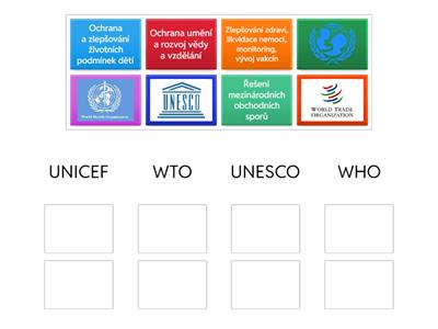 Mezinárodní organizace