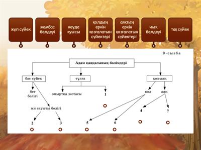 Флэш-дискідегі жеке порно фотосуреттер