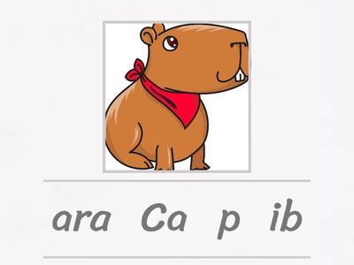 Reordena las palabras