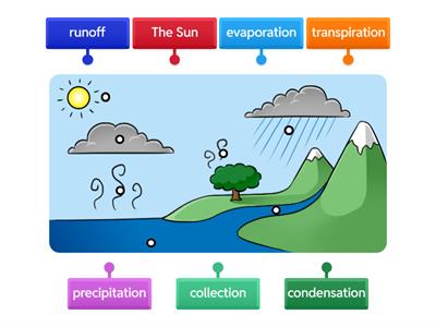 Water Cycle - Label Illustration