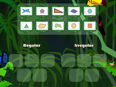 Regular and Irregular Polygons