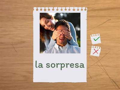 Lección 20 (8) - Fiesta - Flashcards