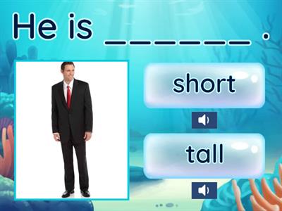 Adjectives tall/short, fat/thin, strong/weak, pretty/ugly