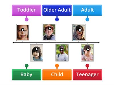 The six stages of human development