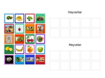 Hayvan ve Meyveleri Gruplama