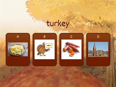 Thanksgiving vocabulary