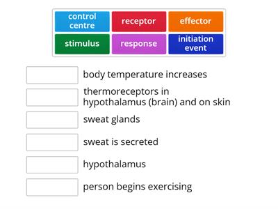 Thermoregulation