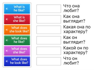 What does he like? What does he look like? What is he like?