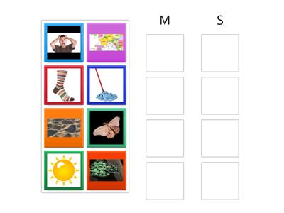 Initial sound sort /m/ vs. /s/