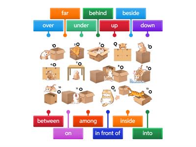 PREPOSITIONS