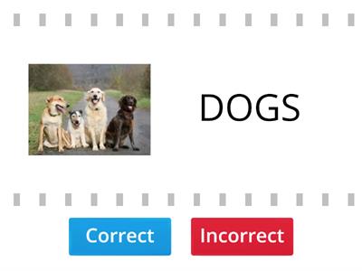 SINGULAR AND PLURAL NOUNS