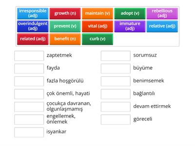 IELTS quick vocabulary revision