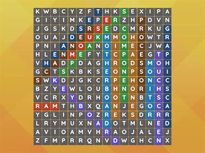 Computer Basics - Components of a computer