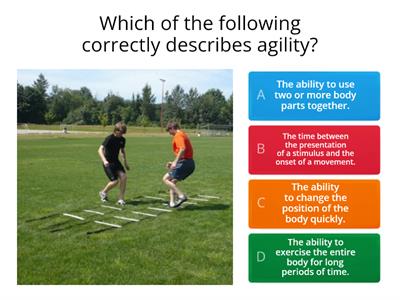 components of SRF quiz