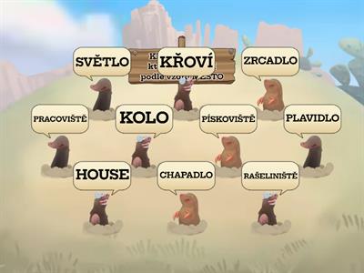 Vzory středního rodu - MĚSTO