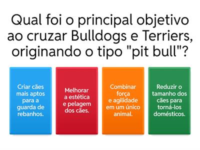Origem dos pit bulls