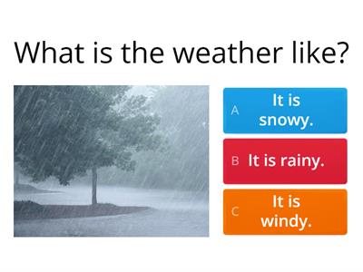 What is the weather like?