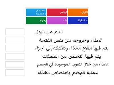 الهضم والاخراج والتنفس والدوران 