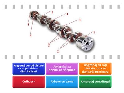 Test XII S1- SPP