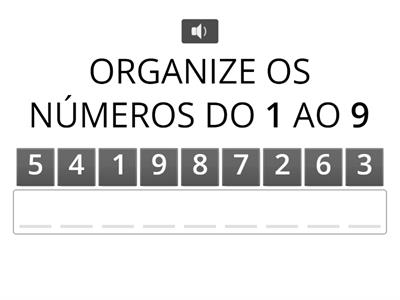 COLOQUE OS NÚMEROS EM ORDEM