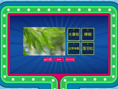 校園植物(喬木葉子篇)-測驗13