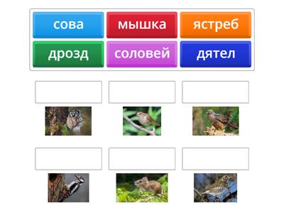 6 класс 2 игра