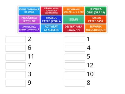 PROGRAMUL ZILNIC