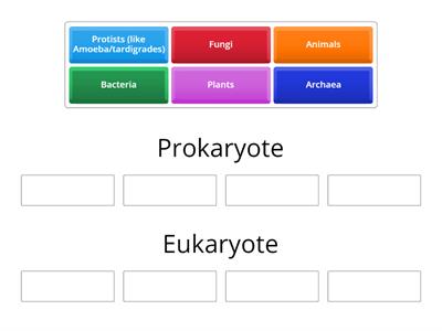 Prokaryote or Eukaryote?